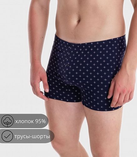 Трусы мужские 7001/79